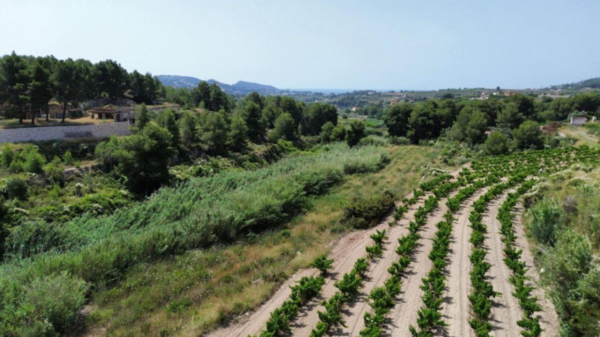 Terreno en venta en Teulada, Alicante photo 4