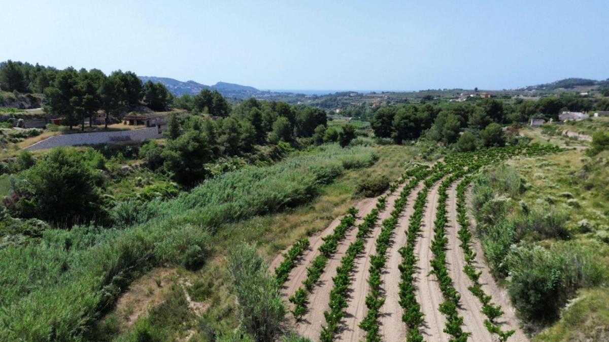 Terreno en venta en Teulada, Alicante photo 5