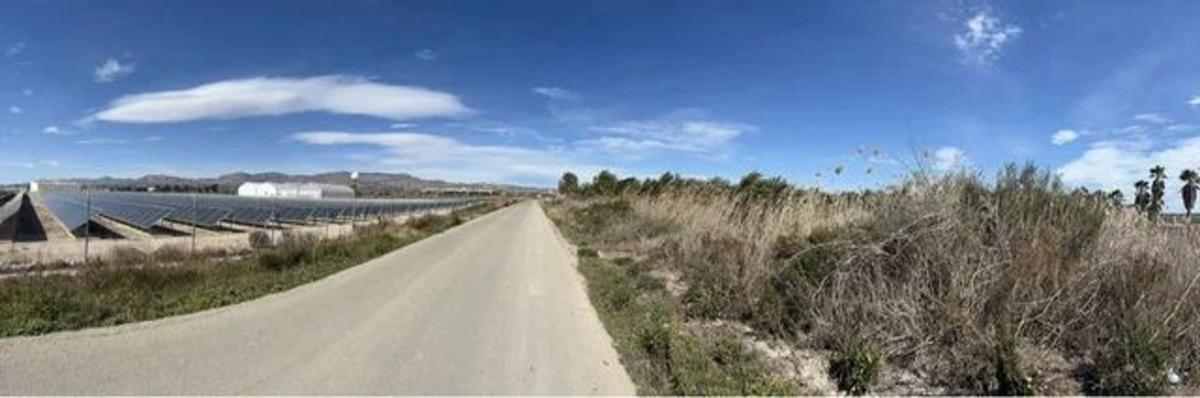 Land for sale in Crevillente, Alicante photo 3