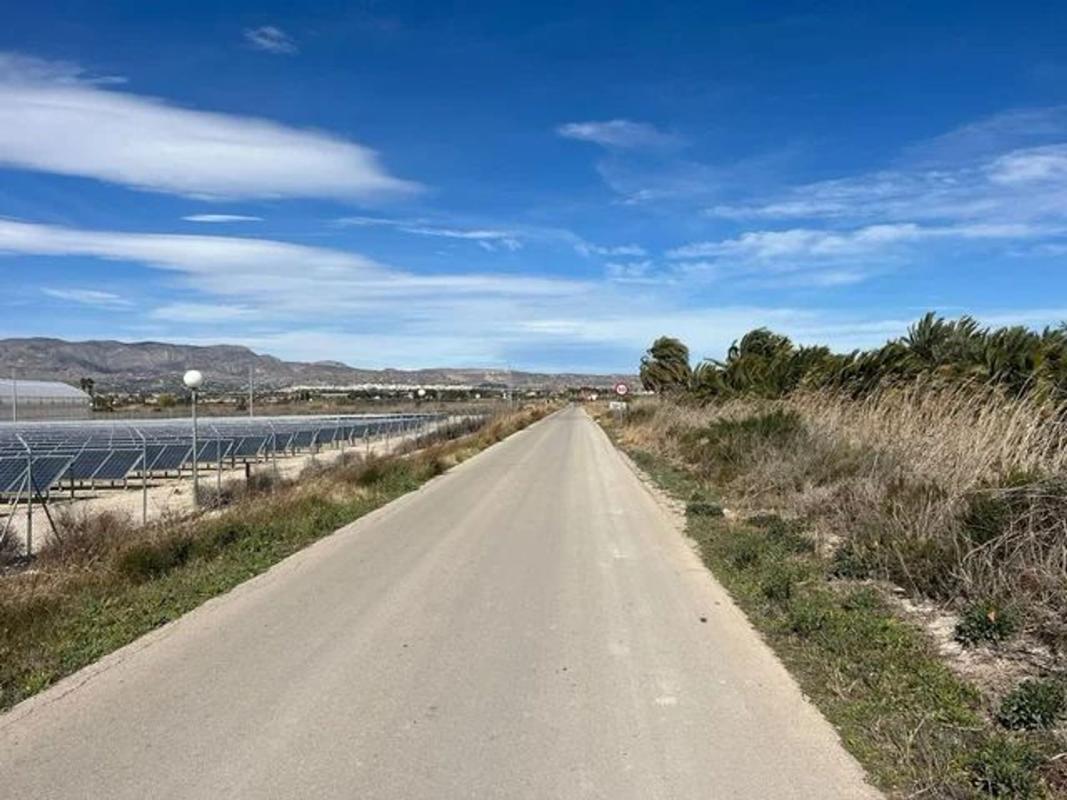 Land for sale in Crevillente, Alicante photo 4