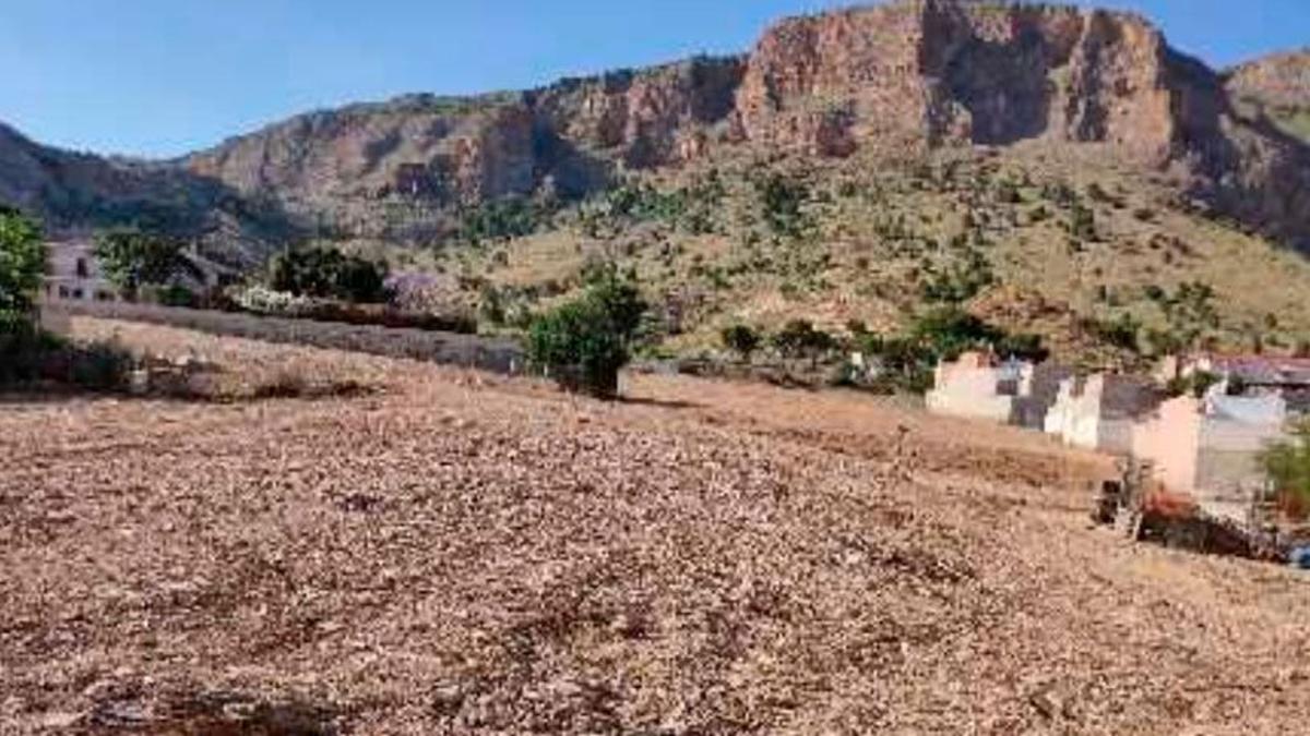 Terreno en venta en Orihuela, Alicante photo 4