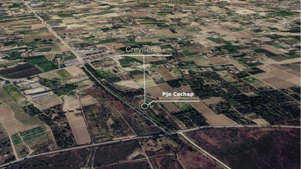 Terreno en Partida de Algoda, Algoda-Matola-Llano de San José, Elche / Elx photo 4