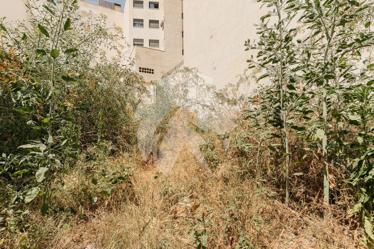 Terreno en venta en Alicante / Alacant, Alicante photo 4
