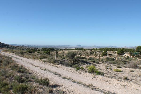 Terreno en Busot photo 3