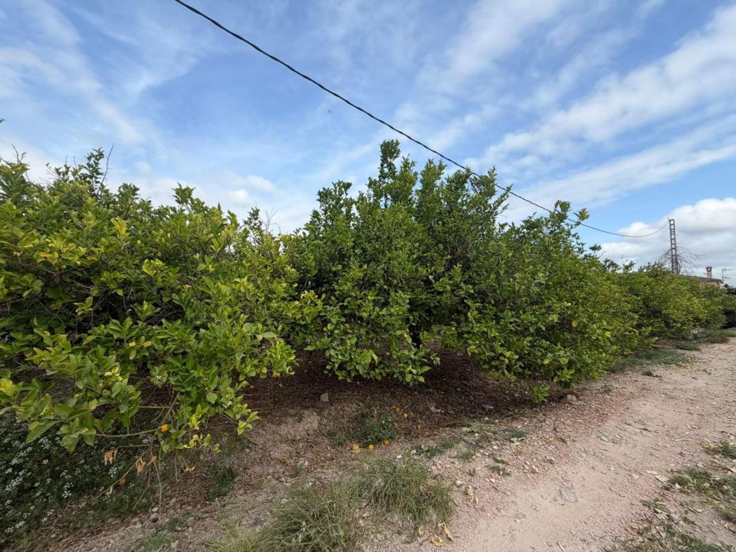 Działka na sprzedaż w Orihuela, Alicante photo 2