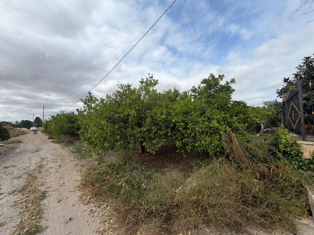 Działka na sprzedaż w Orihuela, Alicante photo 3