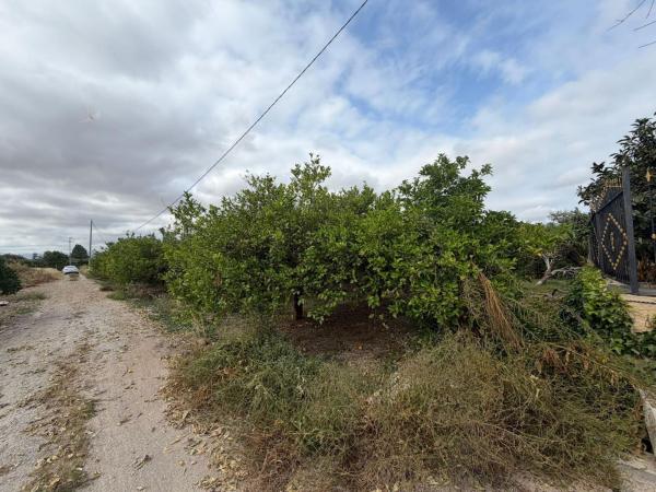 Terreno en Molins-Campaneta-San Bartolomé, Orihuela photo 3