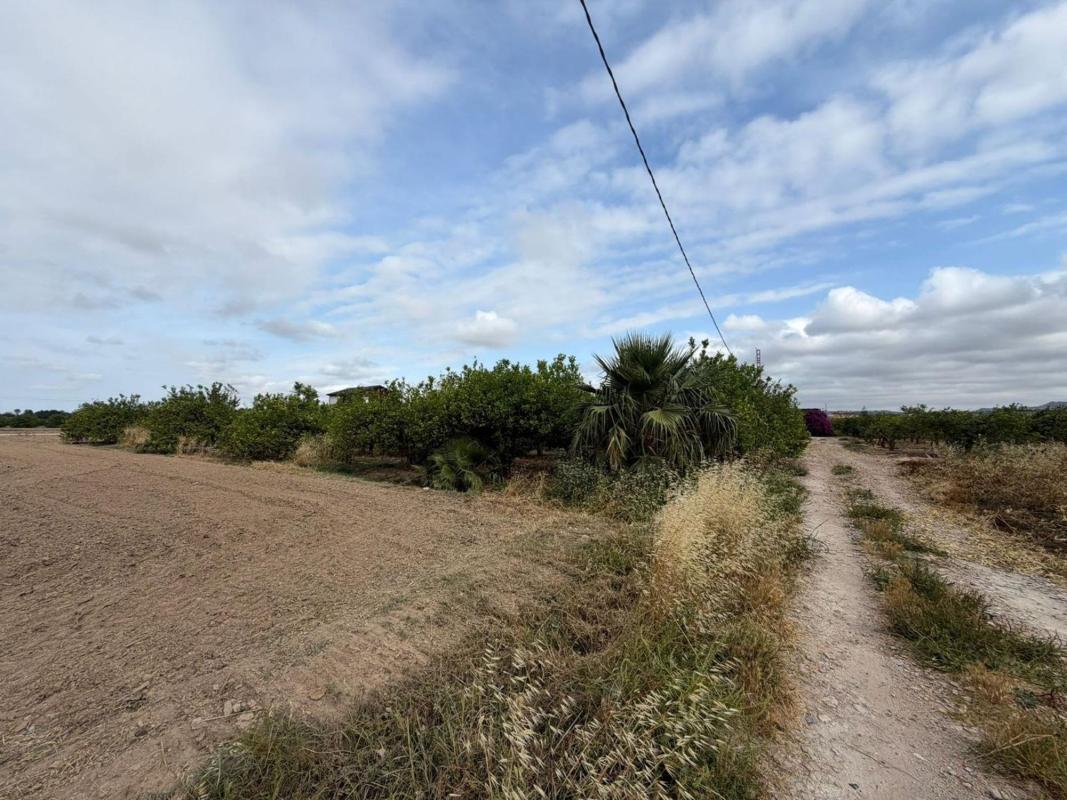 Działka na sprzedaż w Orihuela, Alicante photo 4