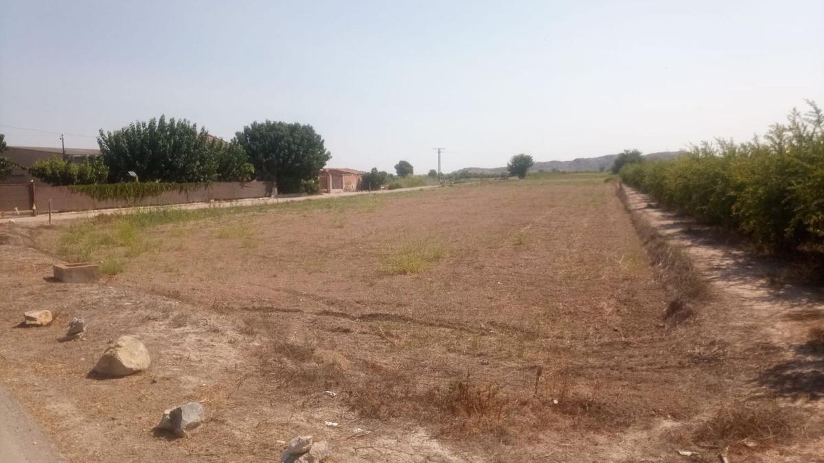 Участок земли на продажу в Гранха-де-Рокамора, Аликанте photo 3