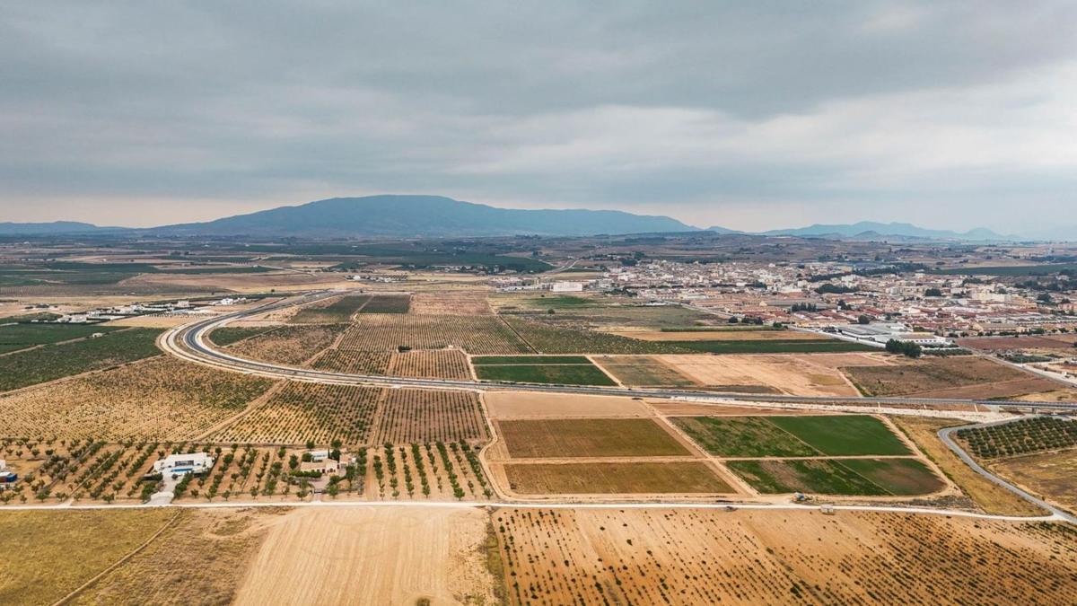 Działka na sprzedaż w Pinoso, Alicante photo 1