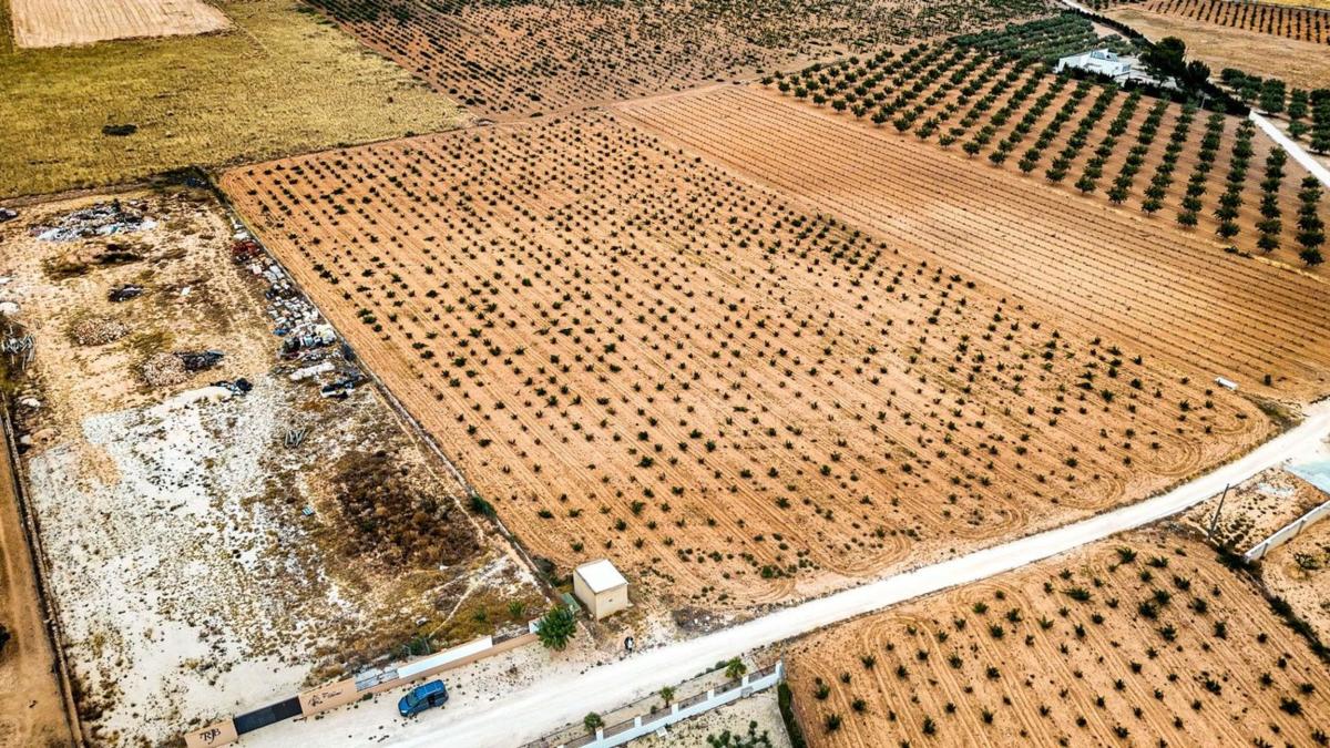 Działka na sprzedaż w Pinoso, Alicante photo 4