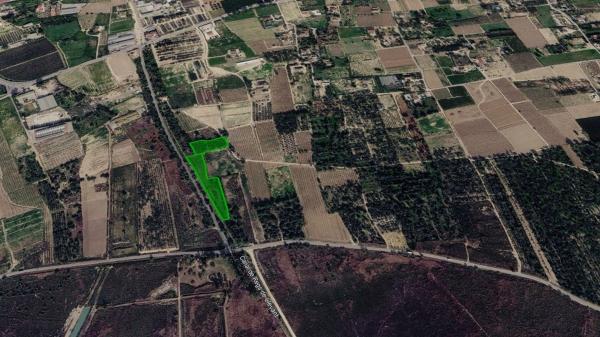 Terreno en Partida de Algoda, Algoda-Matola-Llano de San José, Elche / Elx photo 1