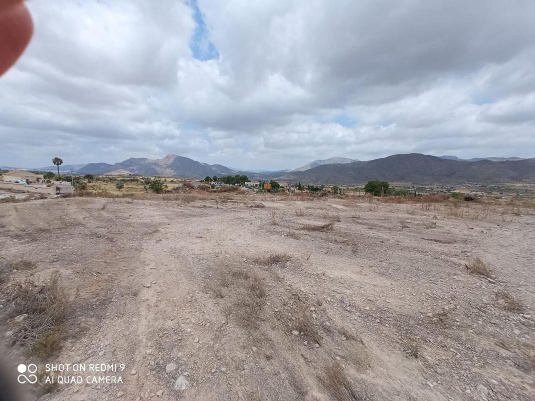 Terreno en venta en Hondón de los Frailes, Alicante photo 2