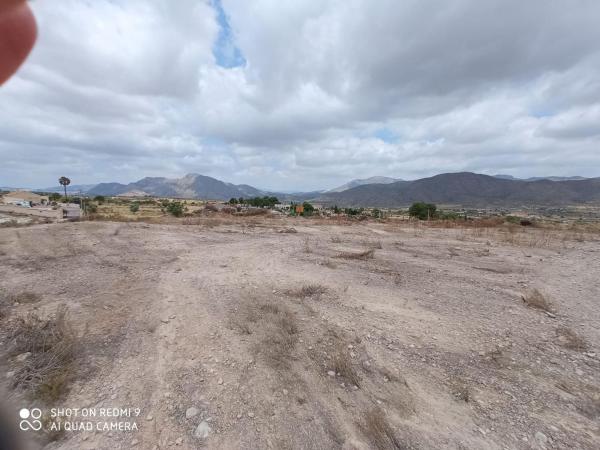 Terreno en Hondón de los Frailes photo 2