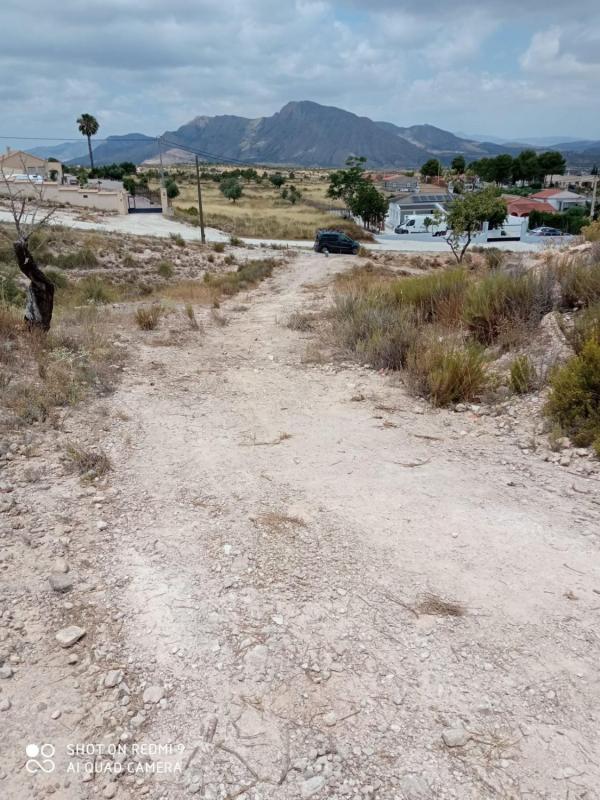 Terreno en venta en Hondón de los Frailes, Alicante photo 3