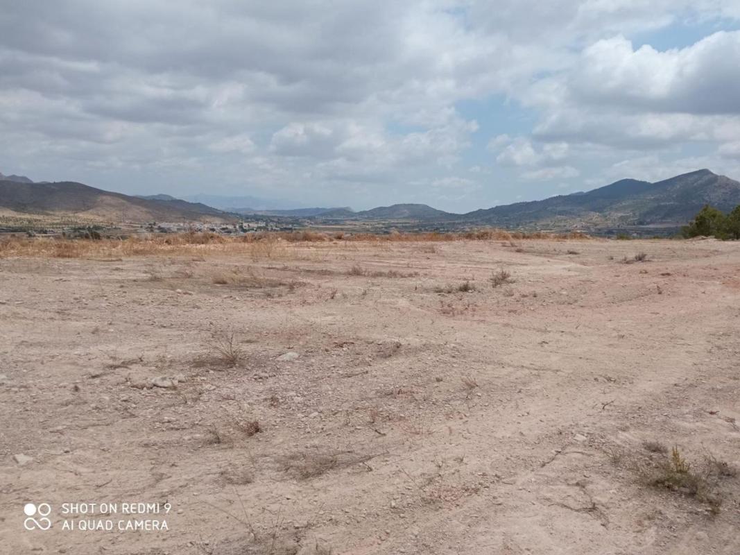 Terreno en venta en Hondón de los Frailes, Alicante photo 4