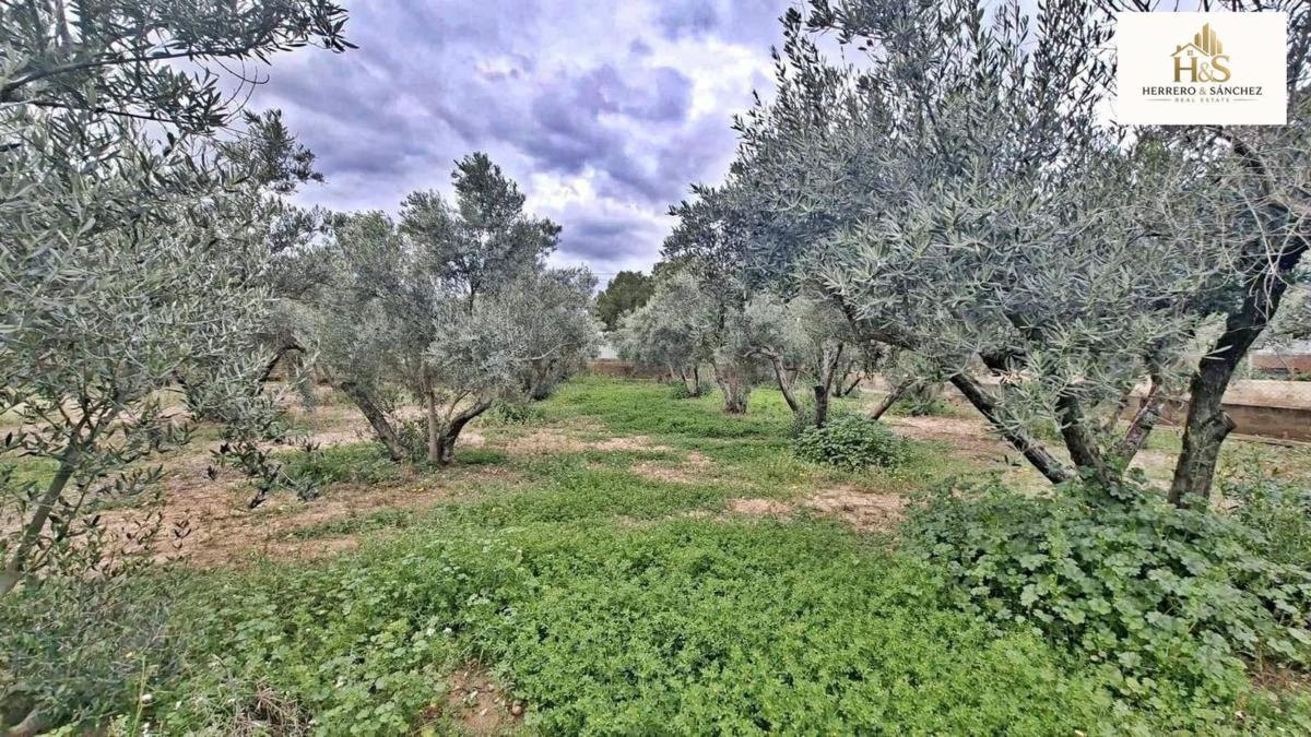 Terreno en venta en Cañada del Fenollar, Alicante photo 2