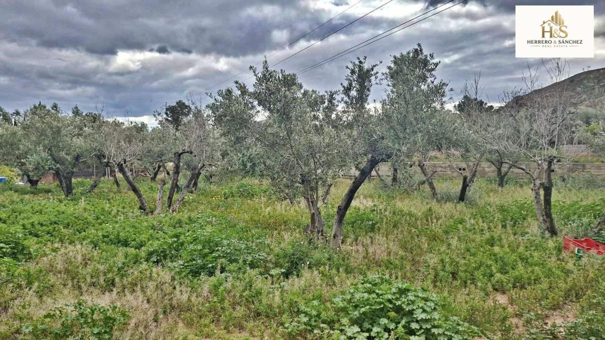 Terreno en venta en Cañada del Fenollar, Alicante photo 5