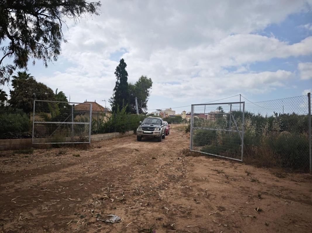 Działka na sprzedaż w Elche / Elx, Alicante photo 2