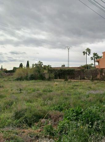 Terreno en Camino de Terol, Sol y Luz, San Vicente del Raspeig photo 3
