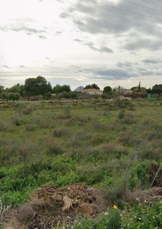 Terreno en Camino de Terol, Sol y Luz, San Vicente del Raspeig photo 4