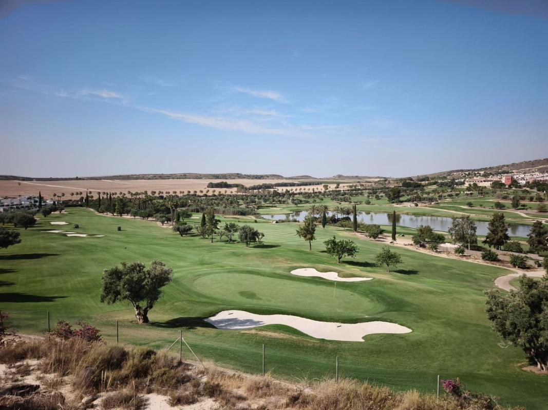 Sale of independent chalet in Casa o chalet en Algorfa, Algorfa
photo 2