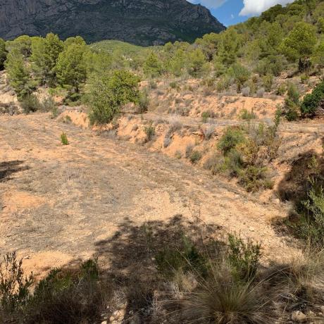 Terreno en Partida La Tapia, Polígono 7, Parcela 81, km 3, Finestrat Pueblo, Finestrat photo 4