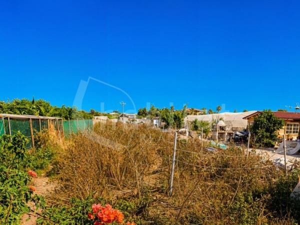 Terreno en Calle Rojales, 18 -22, Los Montesinos thumbnail 1
