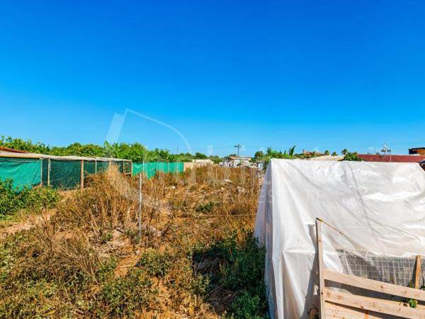 Terreno en Calle Rojales, 18 -22, Los Montesinos photo 3