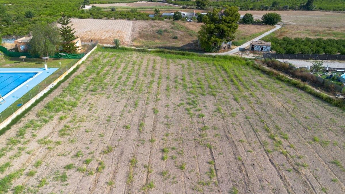Land for sale in Callosa de Segura, Alicante photo 4