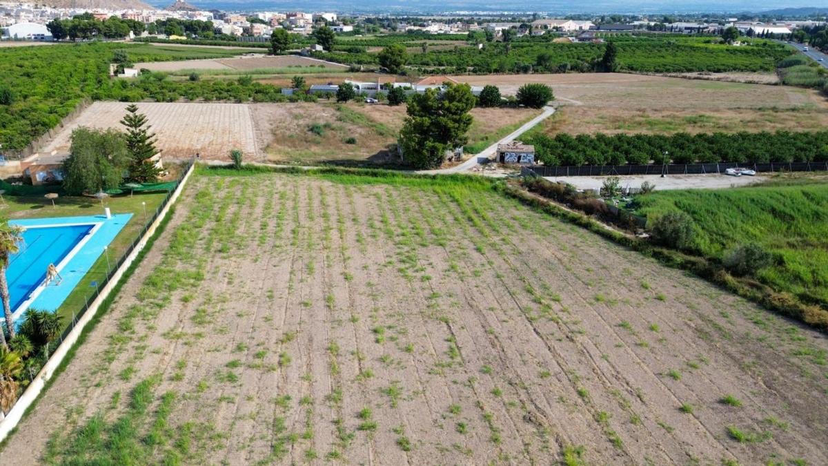 Land for sale in Callosa de Segura, Alicante photo 5