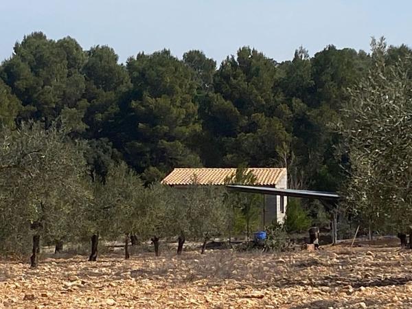 Terreno en Banyeres de Mariola thumbnail 1