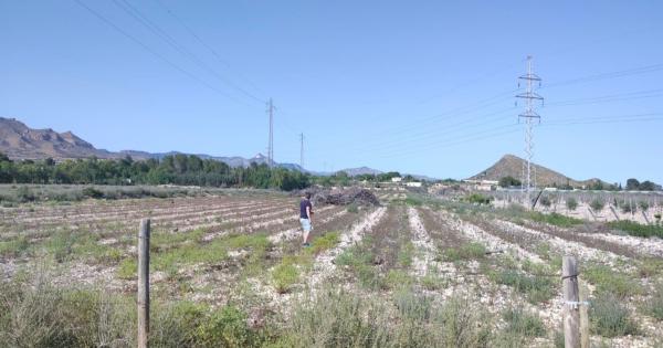 Terreno en Calle La Serreta s/n, Monforte del Cid photo 2