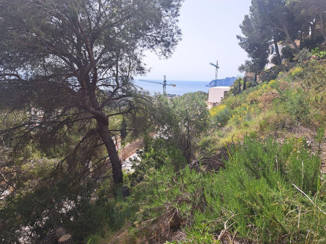 Land for sale in Benissa, Alicante photo 4