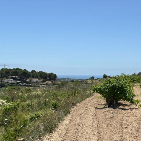 Terreno en Centro, Benitachell photo 1
