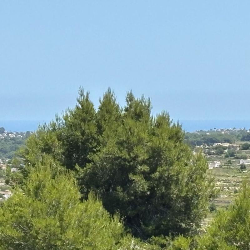 Land for sale in Benitachell, Alicante photo 5
