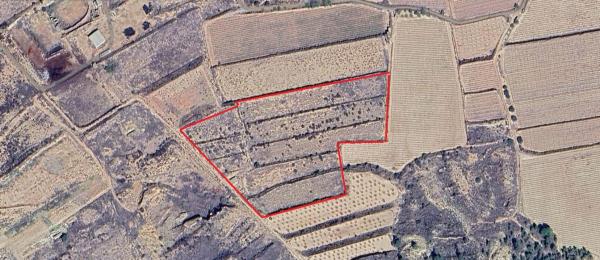 Terreno en espejeras poligono 14 parcela 49, Monforte del Cid thumbnail 1