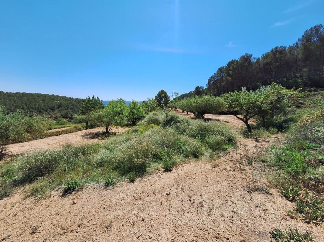 Terreno en venta en Castalla, Alicante photo 2