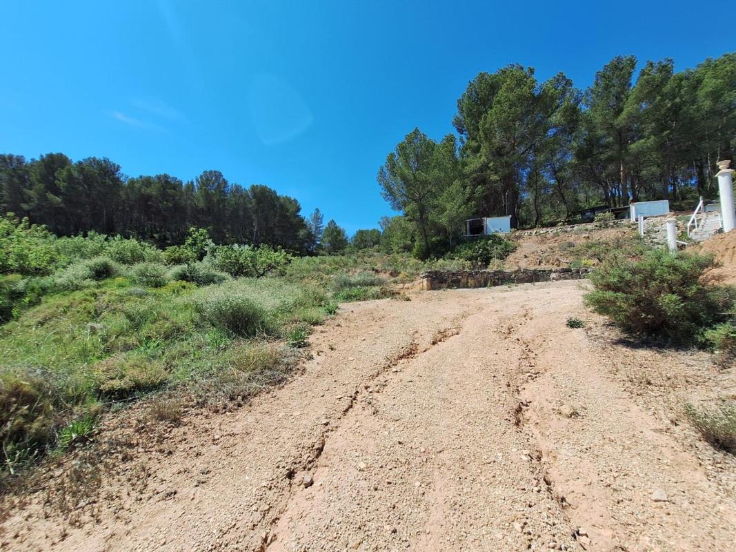 Terreno en venta en Castalla, Alicante photo 3