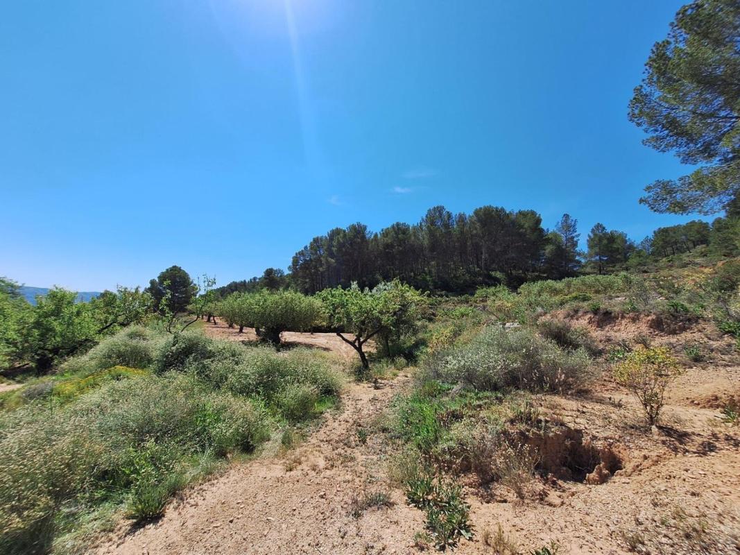 Terreno en venta en Castalla, Alicante photo 4