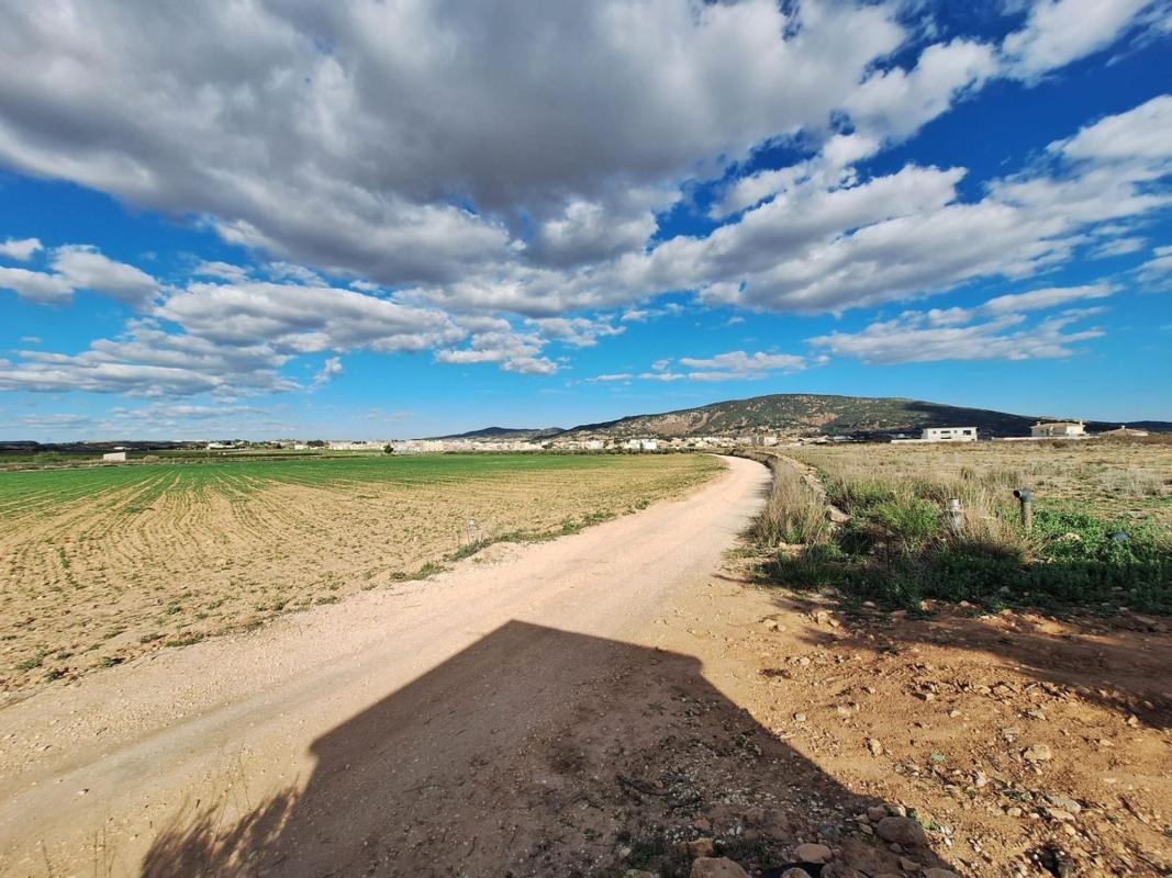 Land for sale in Pinoso, Alicante photo 2