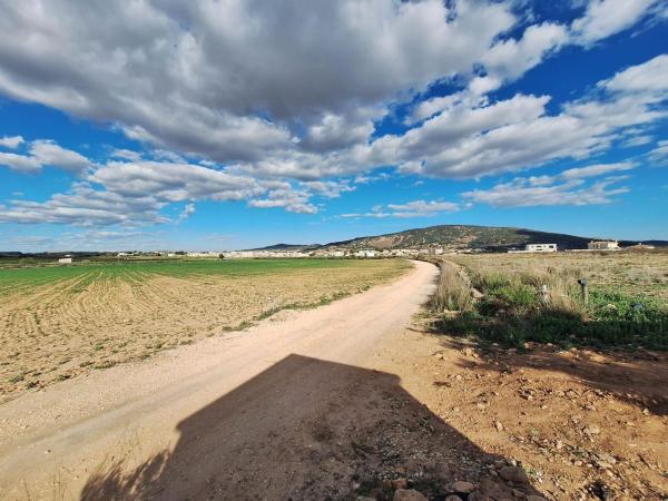 Terreno en Pinoso photo 2