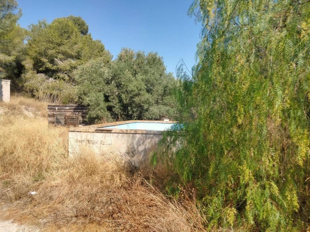 Properties for sale and rent in Spain photo 3