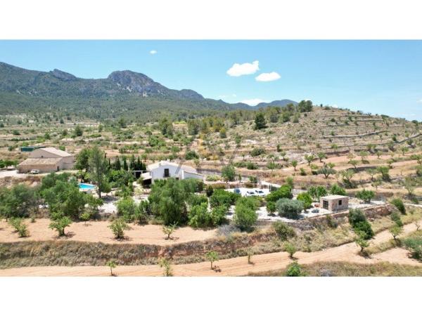 Casa rural en Partida de Umbria Baja, La Romana thumbnail 2