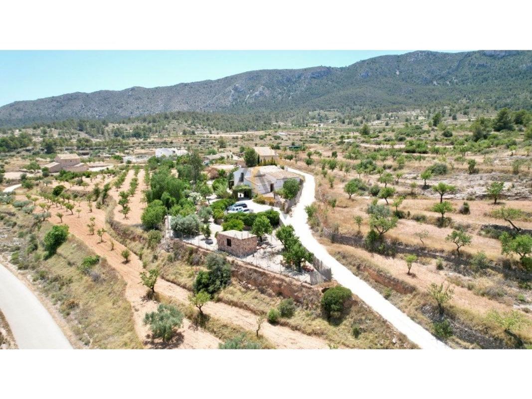 Propiedades en venta y alquiler en España photo 5