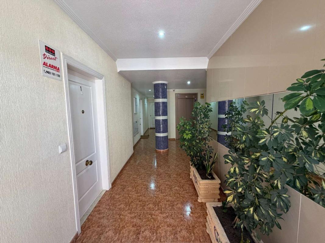 Продажа квартиры на Piso en Calle Riu Segura, Zona Pueblo, Guardamar del Segura, Гуардамар-дель-Сегура
 photo 2