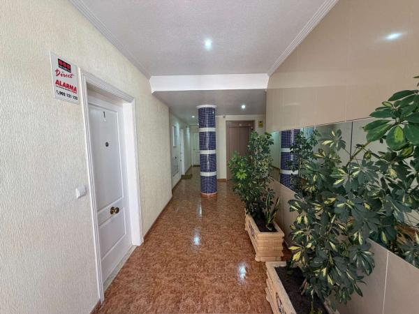 Продажа квартиры на Piso en Calle Riu Segura, Zona Pueblo, Guardamar del Segura, Гуардамар-дель-Сегура
 photo 2