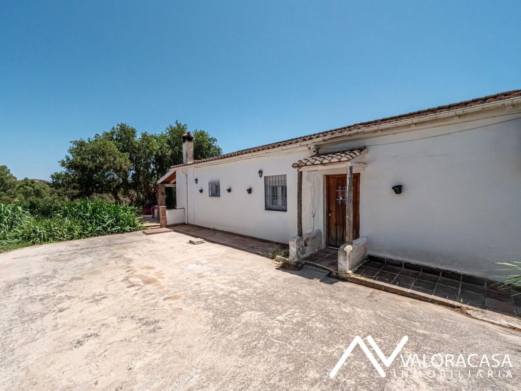 Sale of rural property in Finca rústica en Carretera de Cártama s/n, Centro, Alhaurín el Grande , Alhaurín el Grande photo 3