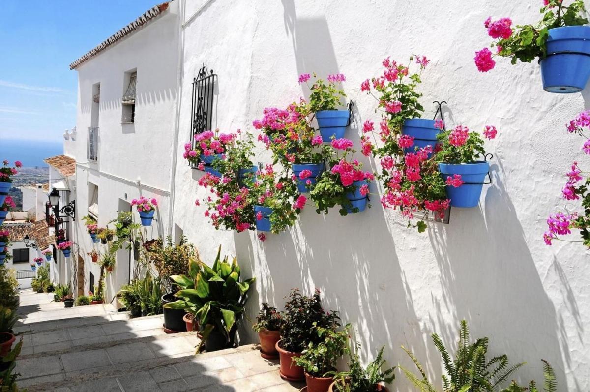 Properties for sale and rent in Spain photo 5