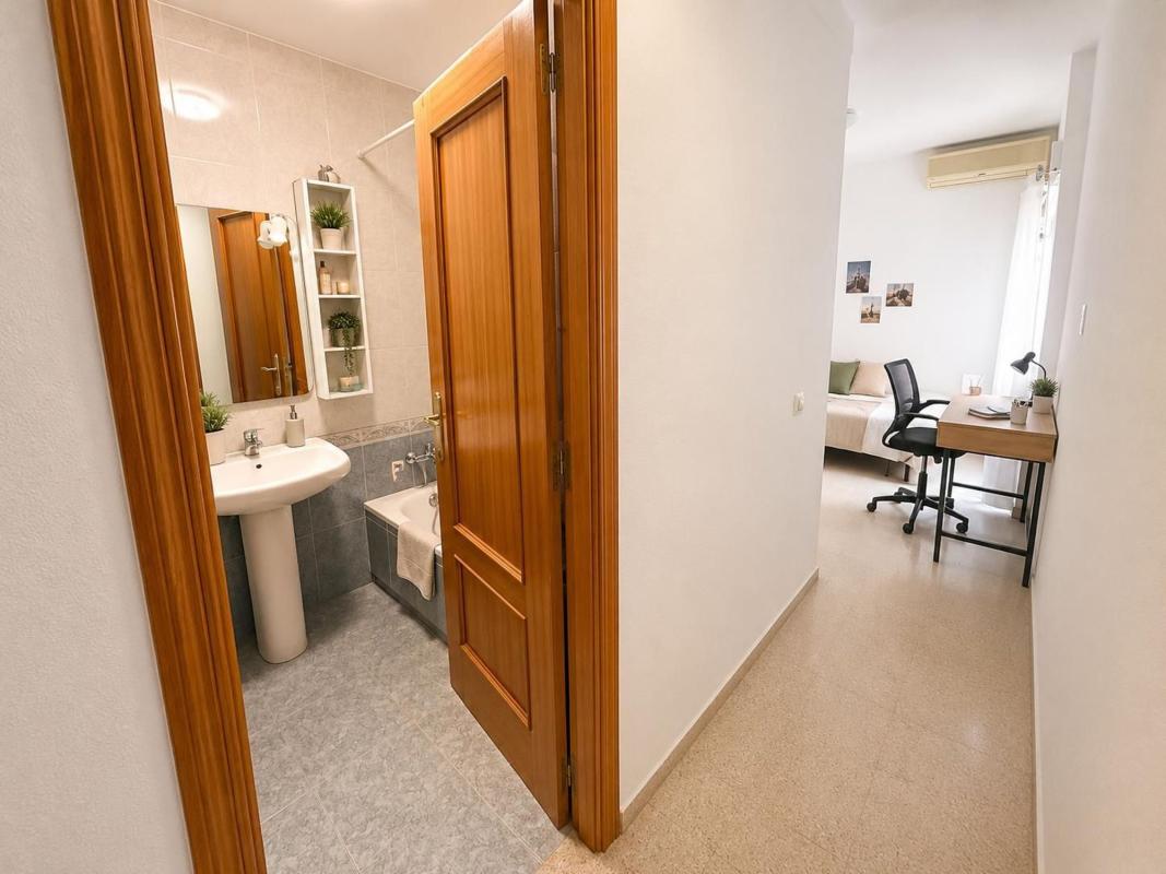 Venta de piso en Piso en Centro, San Vicente del Raspeig, San Vicente del Raspeig
photo 5